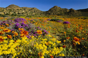 5o-NAMAQUALAND-570