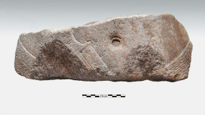 elgin6
