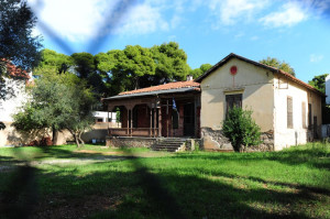 vasil3