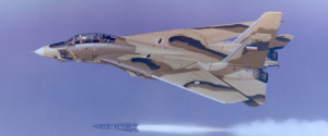 Military Surplus Tomcats