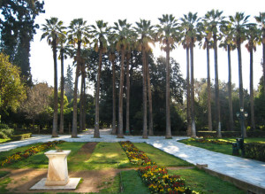 Palms and Sundial in the National Garden