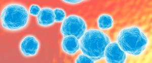 MRSA bacteria, artwork