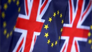 25691256_brexit.limghandler