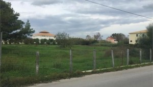 26002873_dromos.limghandler