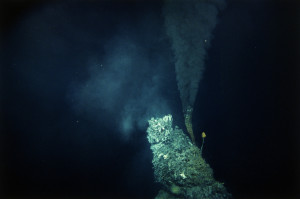 The "smoke" expelled by a black smoker is actually a hot fluid rich in metals brought up from within the earth's crust. Some species of sea life live next to these hydrothermal vents where the supply of heat and minerals allows them to survive without sunlight at the ocean's floor.
