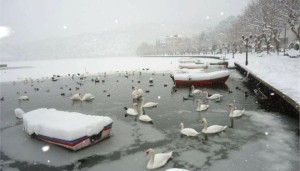 27492516_kastoria.limghandler