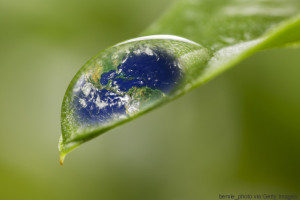 rain drop on a leaf reflecting earth concept for environmental conservation "Elements of earth image courtesy NASA"/http://www.killerasteroids.org/